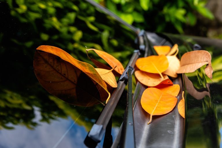 How Temperature Fluctuations Can Affect Auto Glass