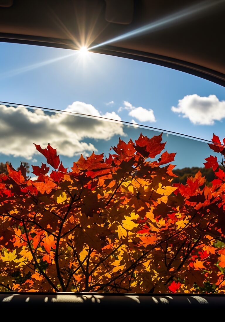 Why Fall Is the Ideal Time to Tint Your Car Windows